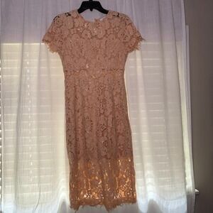 NSR Dress Women Small Blush Peach Floral Lace Sheath Short Sleeve CD9857 Midi